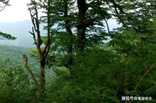 异次元之战无敌版