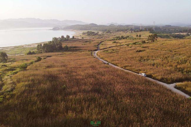 缤纷糖果消消乐