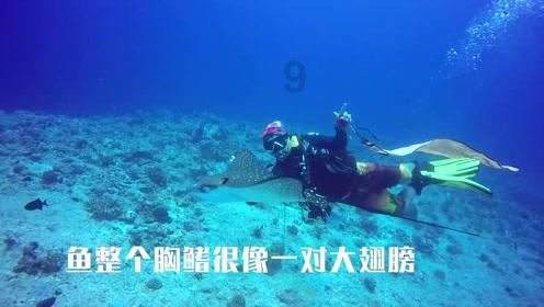 极限脱出九人游戏